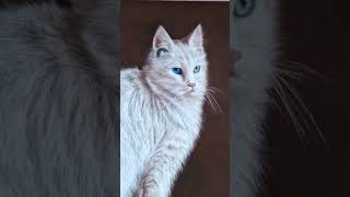 Kitty drawing pastel whitecat cat kitty catlover realism animalism drawing commission art [upl. by Swithbert]