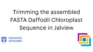 Video 5 Trimming the Sequence Assembly using Jalview [upl. by Yancy]