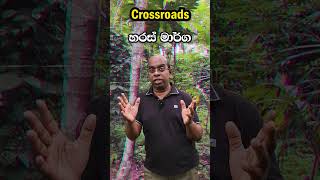 ශ්‍රී ලංකාවේ හන්දි වර්ග  Types of Junctions in Sri Lanka spokenenglish englishgrammar english [upl. by Kristoffer]