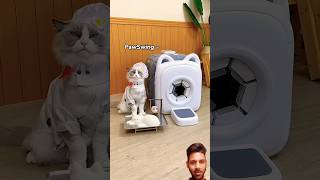 cat pawsup pets funny softpaws catspaw cute [upl. by Francene777]