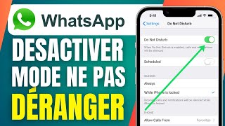 Comment Désactiver Le Mode Ne Pas Déranger Sur Whatsapp  En 2024 [upl. by Wordoow]