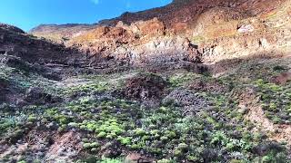 Barranco de Guayadeque Gran Canaria Citroen HY [upl. by Verene596]