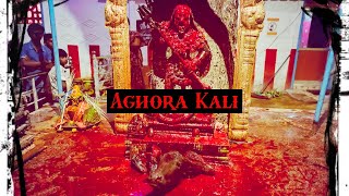 Aghori Dussehra pooja  Navaratri  Aghori Maha Rudra Yajna  Aghori Guru Manikandan [upl. by Snej]