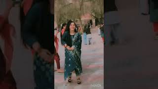 Chandigarh wallian Punjabi song by sharan deol punjabisong shorts video ❤️ [upl. by Emilie]