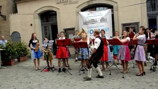 OPA Standkonzert in der Coburger Herrngasse [upl. by Dusty28]