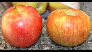 Honeycrisp Apples vs Gala Apples Review [upl. by Emelda]