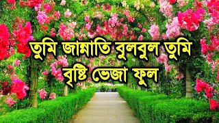 বাংলা গজল তুমি যষ্টি মুকুল মিষ্টি বকুল  Bristy Veja Ful  Syed Sajidul  Bangla Gojol  gojol [upl. by Maroj]