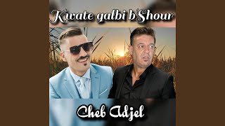 Kwate galbi Bshour [upl. by Entsirhc]