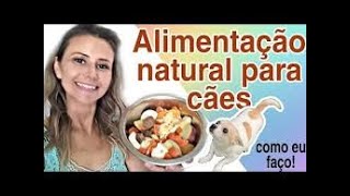 RECEITA DE ALIMENTAÇÃO NATURAL PARA CÃES [upl. by Dorothy]