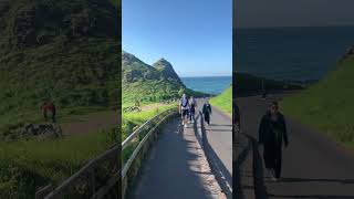 Walking to this path  Giants Causeway Northern Ireland travel ireland traveldestinations [upl. by Piegari996]