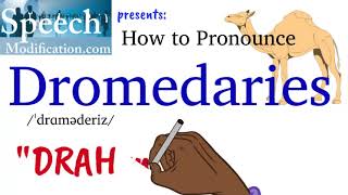 How to Pronounce Dromedaries [upl. by Nilhsa]