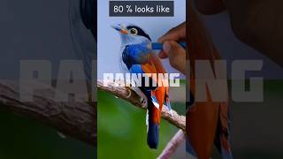 Painting realistic Frogmouth bird art shortvideo coloring [upl. by Nyrehtak]