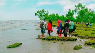 Exploring Worlds Best Greenery Beach in Chittagong Bangladesh [upl. by Haletta205]