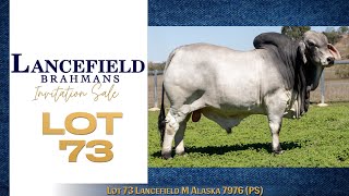 Lot 73 Lancefield M Alaska 7976 PS [upl. by Adnamal]