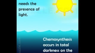 Differences and Similarities Between Chemosynthesis and Photosynthesis [upl. by Ahsar]