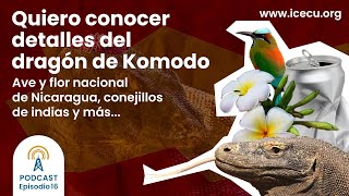 Ep16 Especial del recuerdo Tabaco dragón de komodo aluminio Núremberg y más en OLR podcast [upl. by Lanny936]