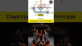 Diaphragm pump principle shorts shortsvideo boiler youtubeshorts [upl. by Aytac]