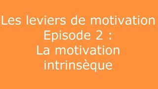 Leviers de motivation 2  La motivation intrinsèque [upl. by Langan]