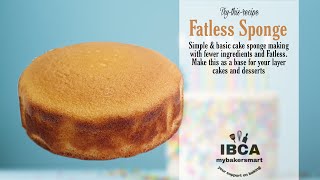 Fatless Sponge Cake Recipe  how to make fat less sponge cake spongerecipe fatless mybakersmart [upl. by Irot716]