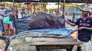 Amazing Fish Cutting at Vibrant Street Market  Incredible Skills [upl. by Airdnahs816]