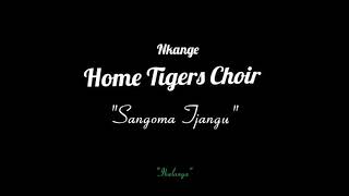 Sangoma tjangu  Home Tigers [upl. by Halilak970]