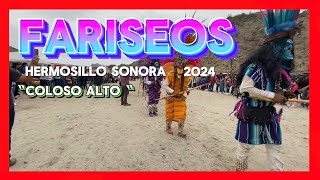 Fariseos del coloso alto 2024 [upl. by Melac]