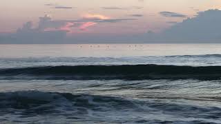 Coral Sands Cottages Ormond Beach Florida￼ [upl. by Alohs651]