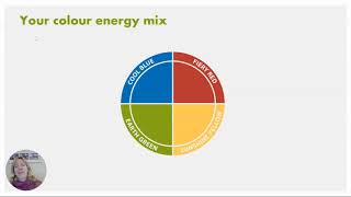 1 Insights Discovery Introductory Video [upl. by Eremihc]