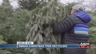 Omaha offering Christmas tree dropoff sites [upl. by Folly705]