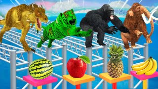 Cow Tiger Bull Monkey Mammoth vs Zombie Dinosaur Food Challenge Video Wild Animals Food Challenge [upl. by Eidorb]