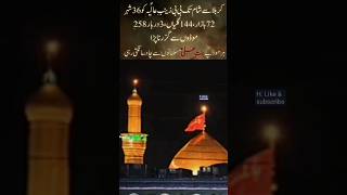 seyda Zainab As 💓karbala unfrezzmyaccount H goneviral 🌴 [upl. by Boeke]