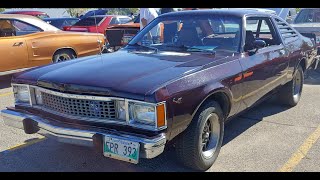 1980 Plymouth Roadrunner Last of an Era [upl. by Ahterahs]