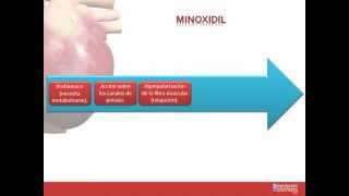 Tema 26 FARMACOLOGÍA CARDIOVASCULAR Fármacos indicados para la Hipertensión Arterial [upl. by Ztnarf]