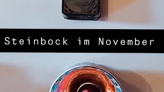 Steinbock im November ♑🔮✨ [upl. by Elo]