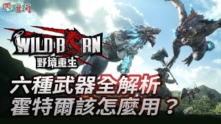 《WildBorn 野境重生》六種武器使用方式全解析 快速進入狩獵世界 [upl. by Akehsar]