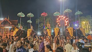 day6 Vaikom Ashtami  Vaikom Temple Festival 2k24 harisreepoothotta [upl. by Blynn627]