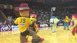 Mascot Mania at the Mission Queensland Firebirds Clash [upl. by Ailem]