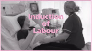 Rosie  Guide To Induction [upl. by Cacilia]