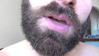 Growing a Beard for a Year  Day49 [upl. by Raquel]