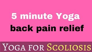 Scoliosis pain relief  5min Yoga practice for back pain [upl. by Esch808]