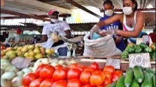 LIBERTAD ALIMENTARIA PARA CUBA [upl. by Raama]