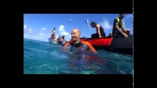 Nature TV  Dolphin Rescue divers help a trapped dolphin back into the wildfree [upl. by Aeikan945]