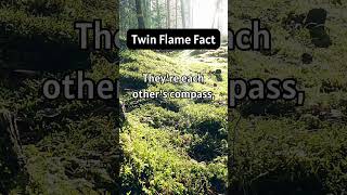 Did you know THIS Twin Flame Sign [upl. by Falzetta655]