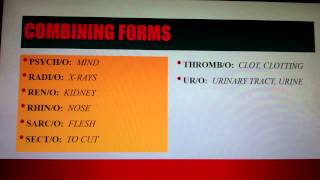 Medical Terminology Lesson 1 [upl. by Zack49]