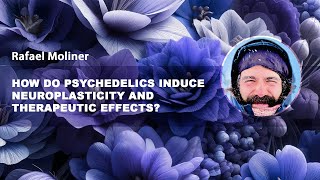 How do psychedelics induce neuroplasticity and therapeutic effects – Rafael Moliner [upl. by Lexis]