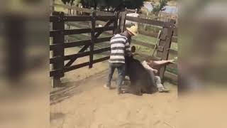 VIDEOS DE RISA  FAILS CAIDAS GRACIOSAS CABALLOS Y TOROS [upl. by Caplan]