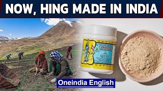 Hing or asafoetida to be grown in India  Indian spices  Oneindia News [upl. by Yumuk]