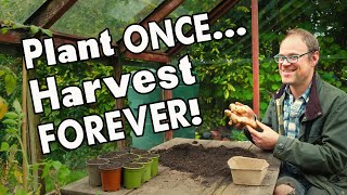 5 MustGrow Perennial Vegetables Harvest Year After Year 👩‍🌾 [upl. by Duj814]