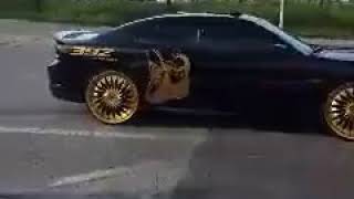 Dodge charger srt 392 on gold dub spins [upl. by Nylassej163]