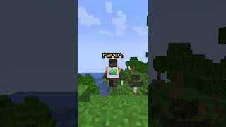 The RAREST Cape in MINECRAFT minecraft minecraftshorts [upl. by Assillim]